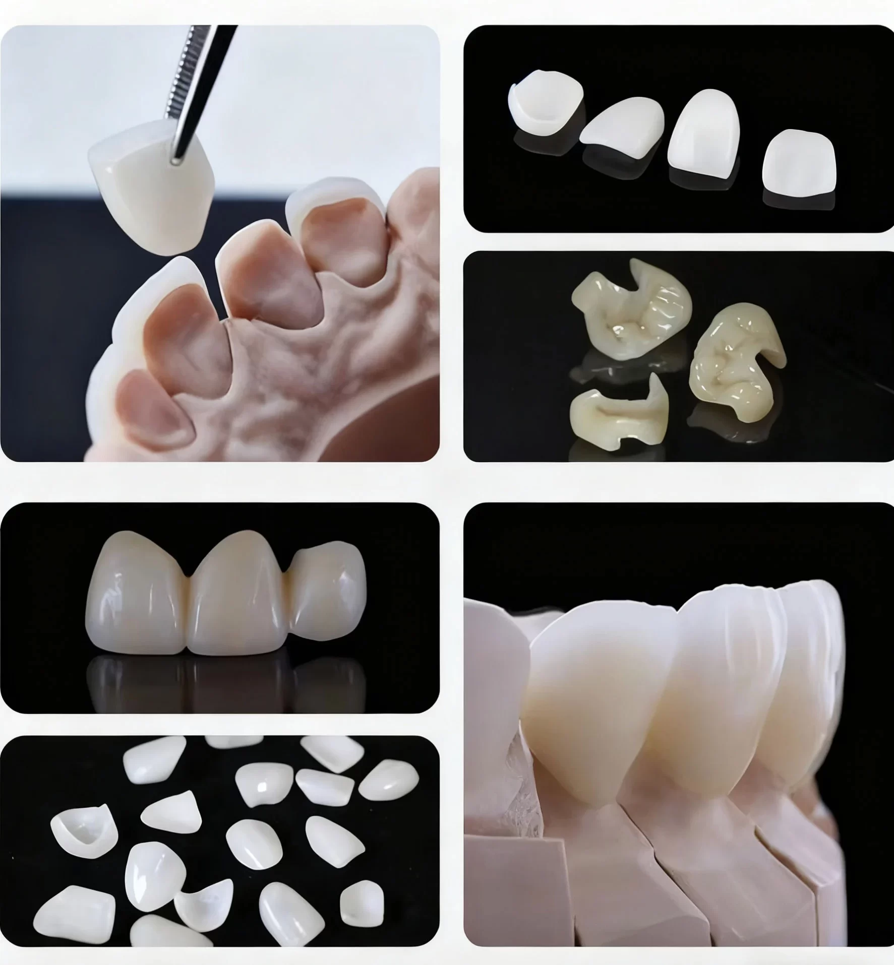 C14 Lithium Disilicate