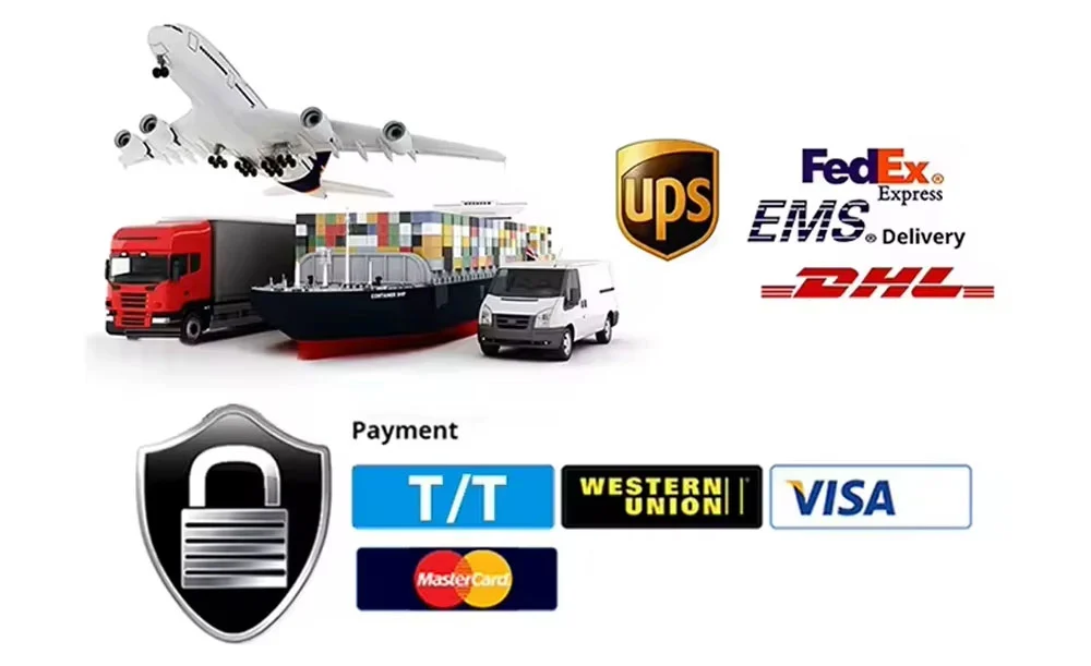 C14 Lithium Disilicate