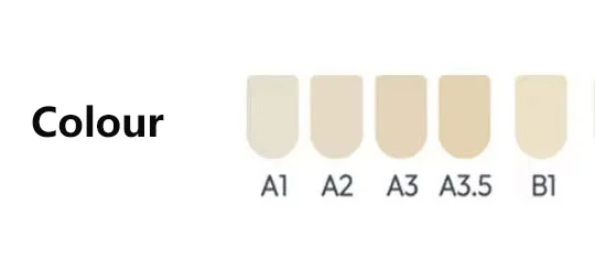 Double Layer Dental PMMA Blocks 
